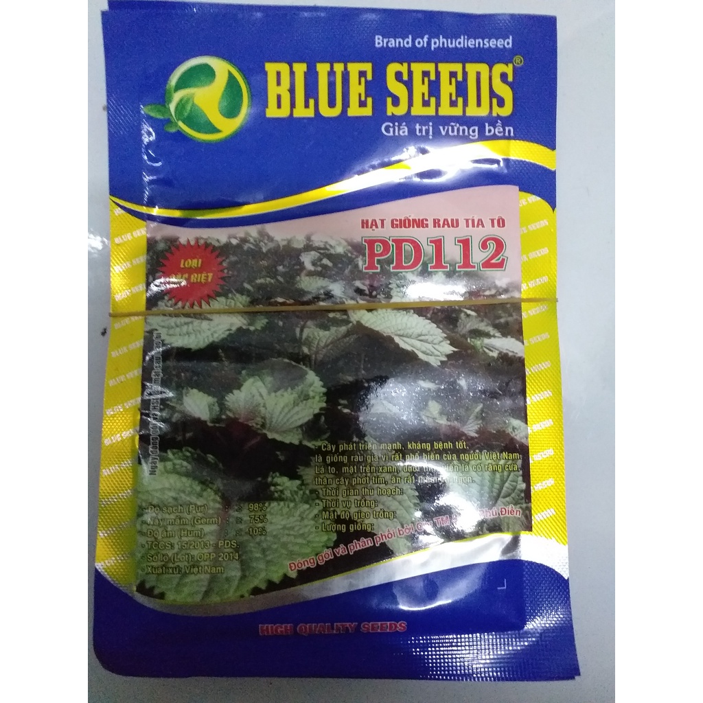 Hạt giống tía tô