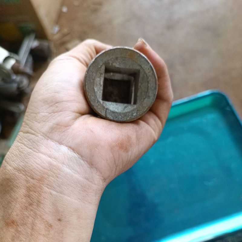 Đầu tắc kê 38 đuôi 3/4 nhật bãi