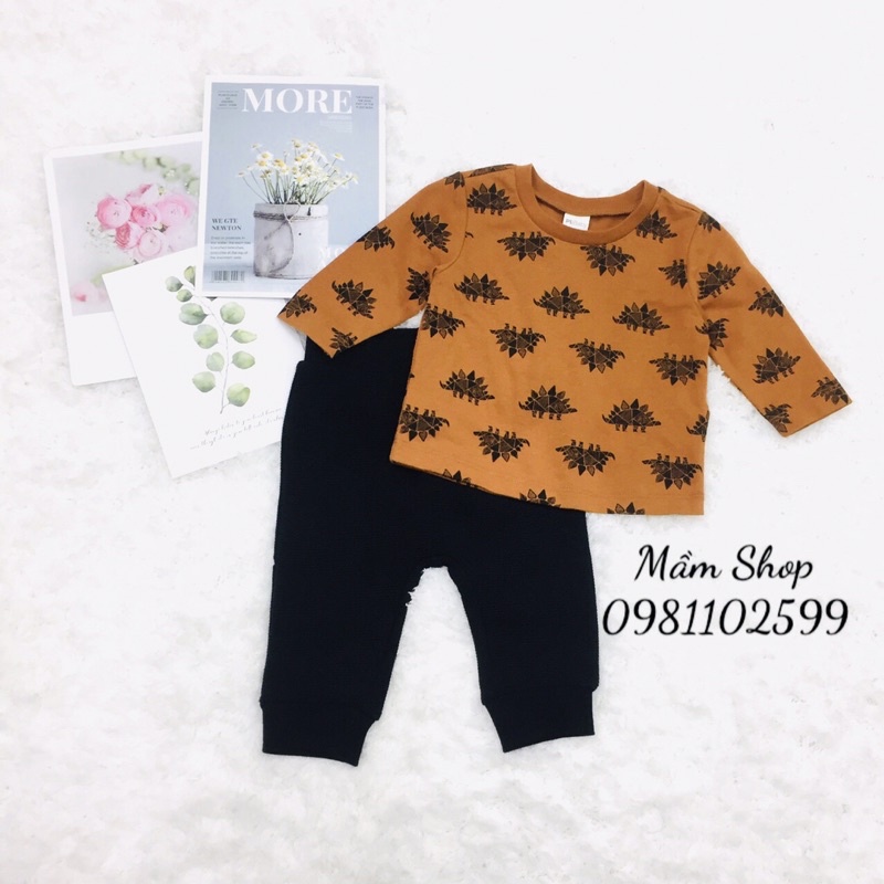 Bộ  khủng long bé trai