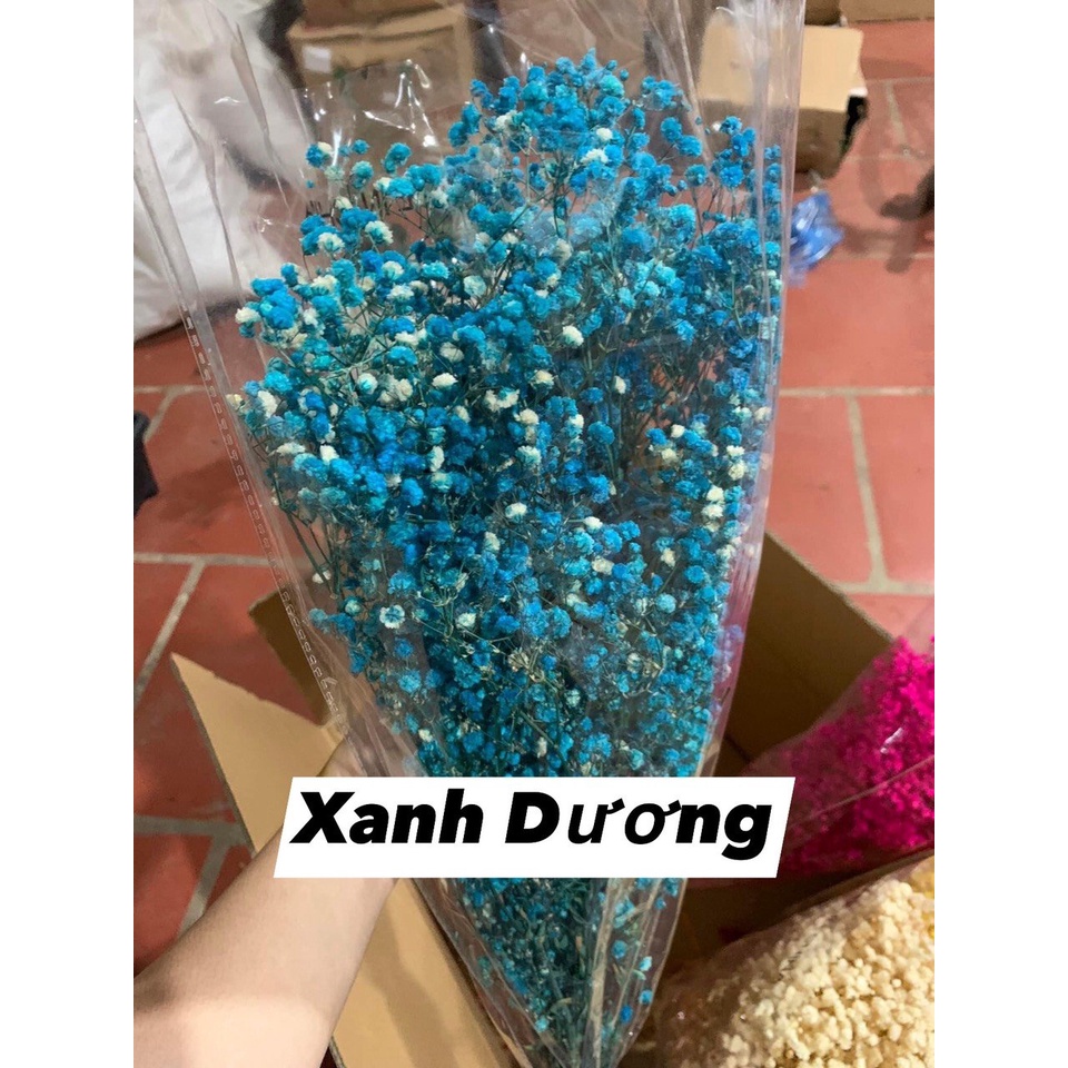 Hoa baby khô Hoa khô quà tặng decor trang trí
