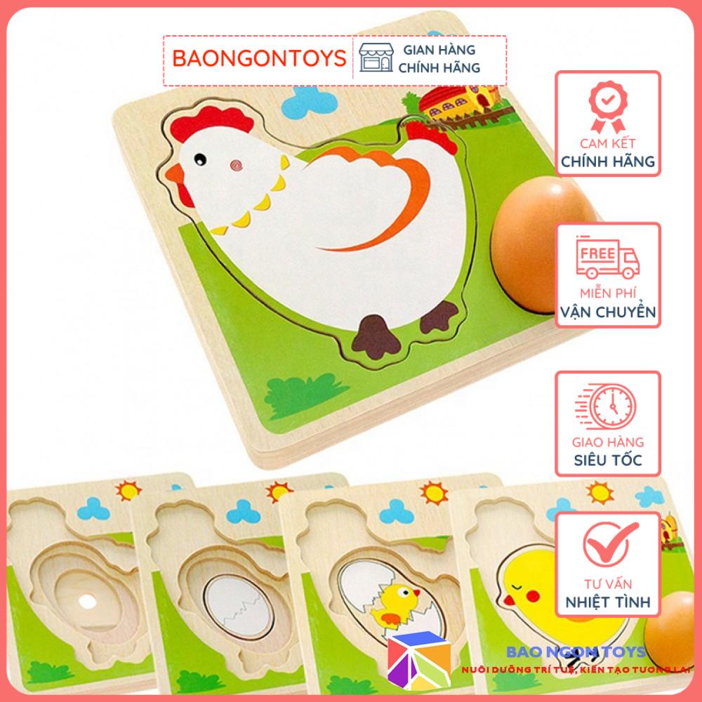 ĐỒ CHƠI XẾP HÌNH QUÁ TRÌNH LỚN LÊN CỦA CHÚ GÀ, GIÁO CỤ DẠY TRẺ MẦM NON – BAO NGON TOYS