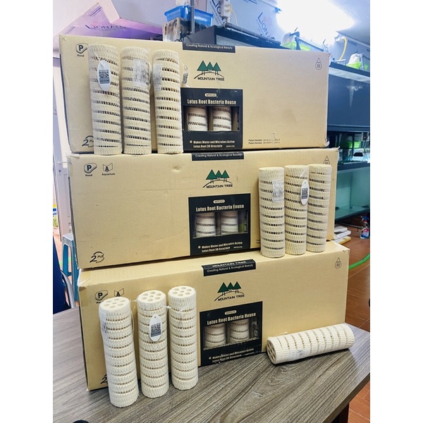 THÙNG - SỨ MOUTIAN TREE V2 và V3