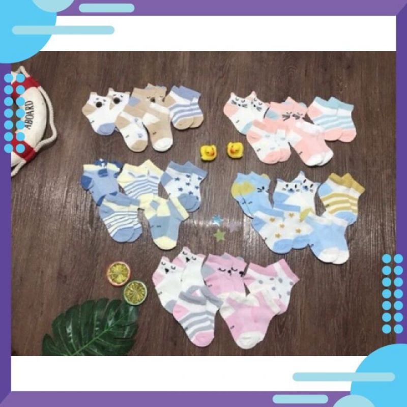 Sét 5 đôi tất lưới cổ thấp Kid's Socks.