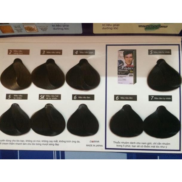 Nhuộm phủ bạc SalonPro