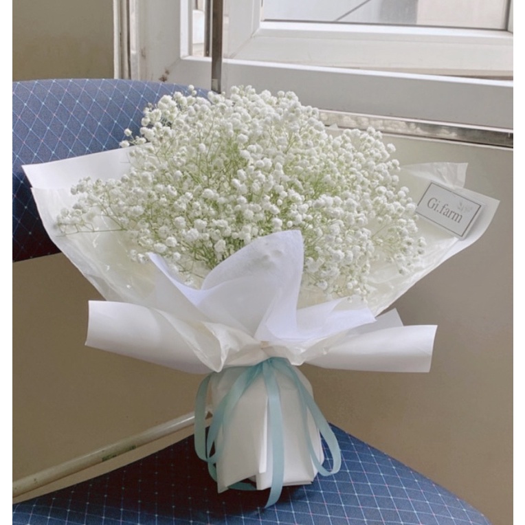 Hoa baby các màu| Ship hoả tốc| Hoa tươi Gifarm