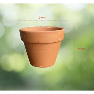 Chậu Đất Nung Trồng Sen Đá Size 7x6 Bao Bể Vỡ Hư 1 Đổi 1