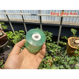Băng ghép cây 4cm