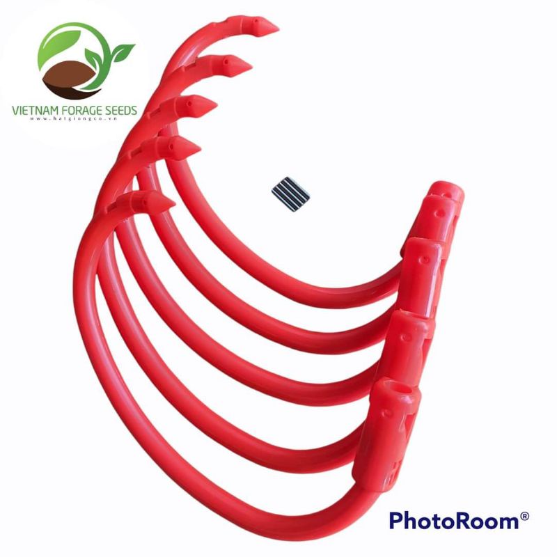 Vòng Xỏ Mũi Trâu Bò