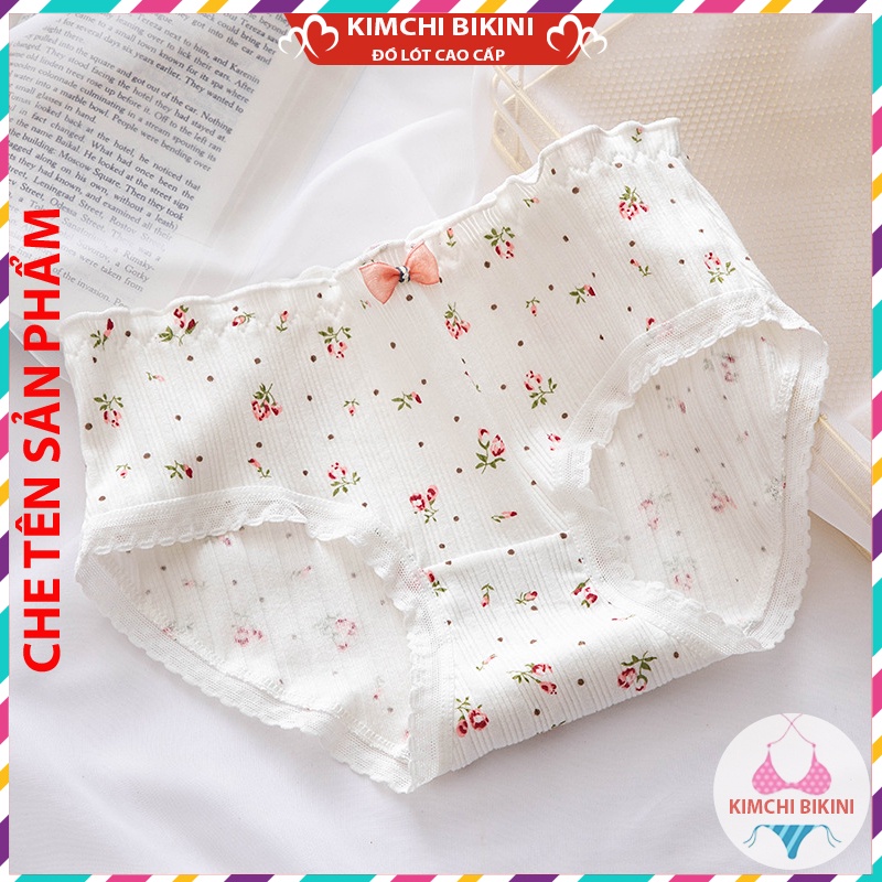 Set 10 quần nót nữ cao cấp mềm mại KIMCHIBIKINI Combo 10 quần chip nữ siêu xinh siêu đep tông dáng nâng mông QL040