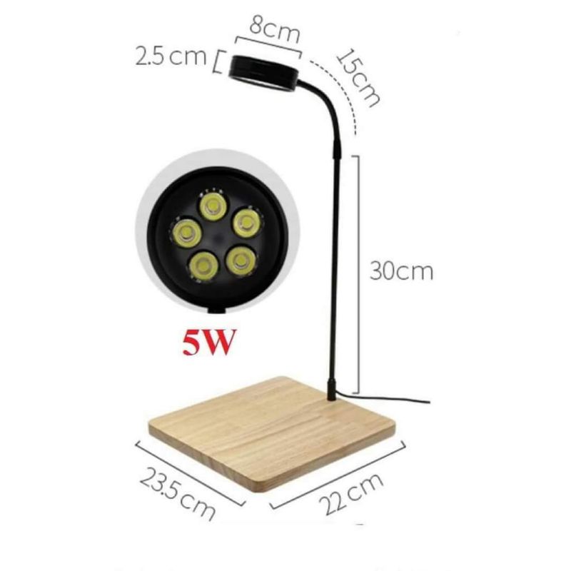 Đèn đế gỗ led, đèn thủy sinh, đèn terrarium