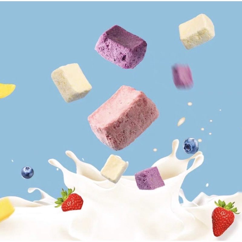 500g sữa chua sấy giòn vị trái cây