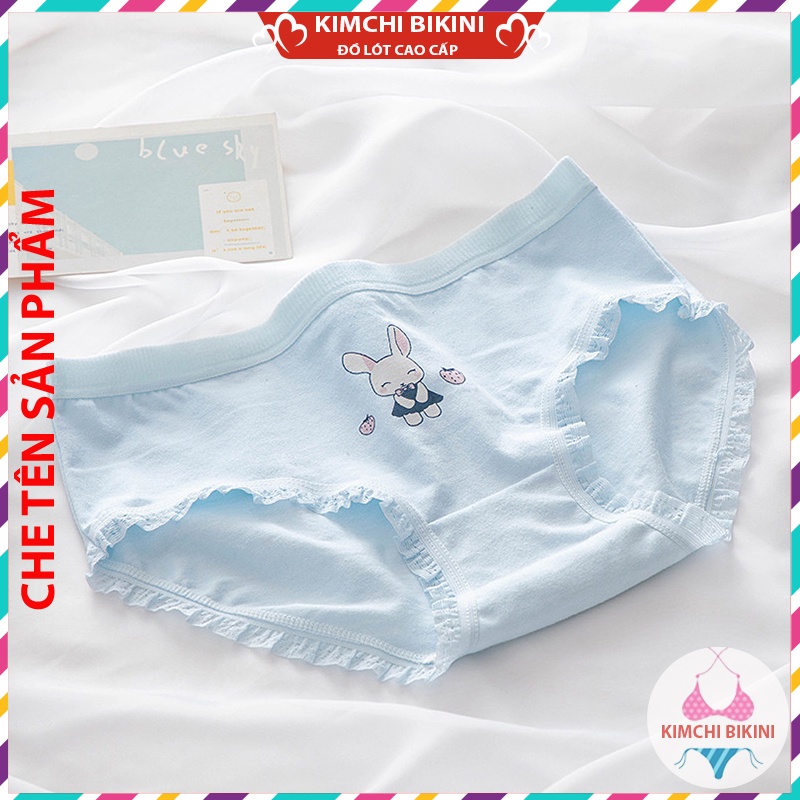 Quần nót nữ cotton cạp thấp chống viêm KIMCHIBIKINI quần lót nữ cao cấp in hình dễ Thương QL038