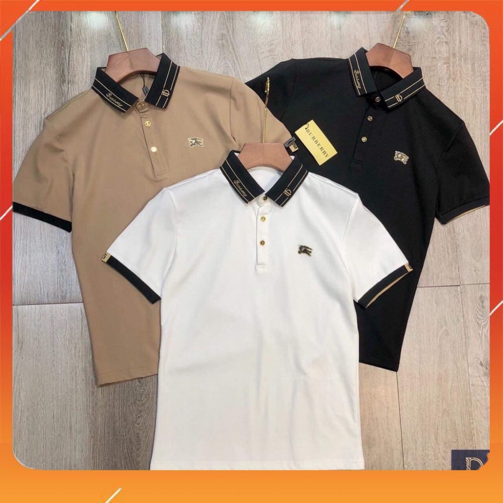 Áo phông nam polo cổ bẻ BURBERRY