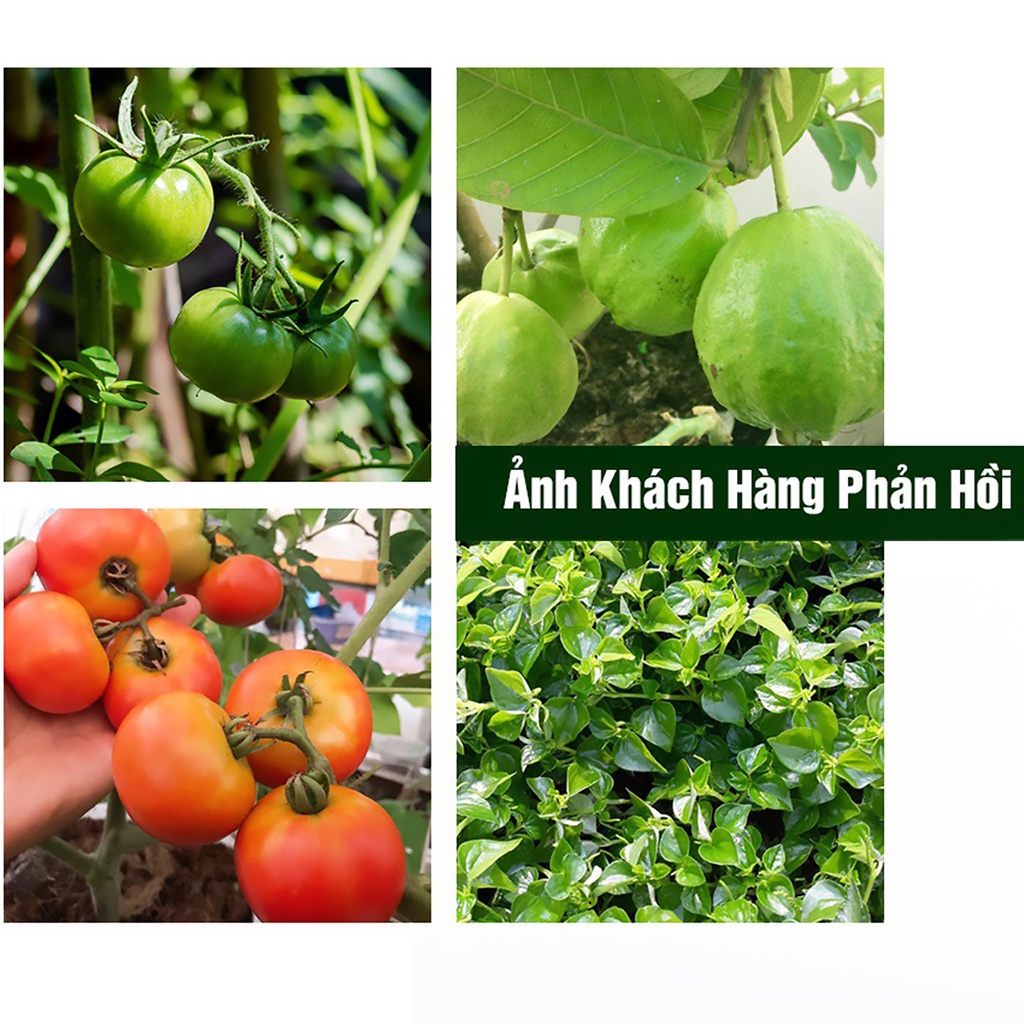 Phân bón hữu cơ cho cây ăn trái, bổ sung nấm trichoderma, nuôi trái, căng mọng 1kg - h2t farm