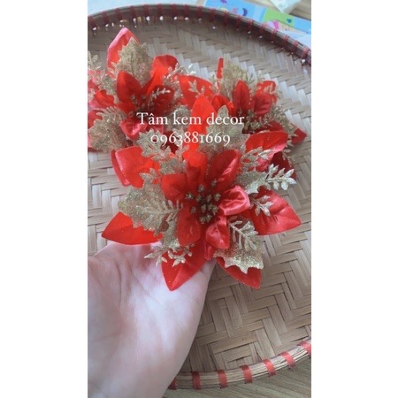 sỉ bông hoa trạng nguyên trang trí Noel,giỏ quà,tháp bánh,oản tài lộc Tết