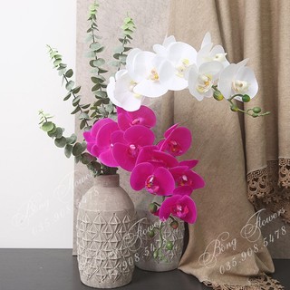 ♡ Lan Hồ Điệp Giả Hàng Cao Cấp SAI HOÀN TIỀN