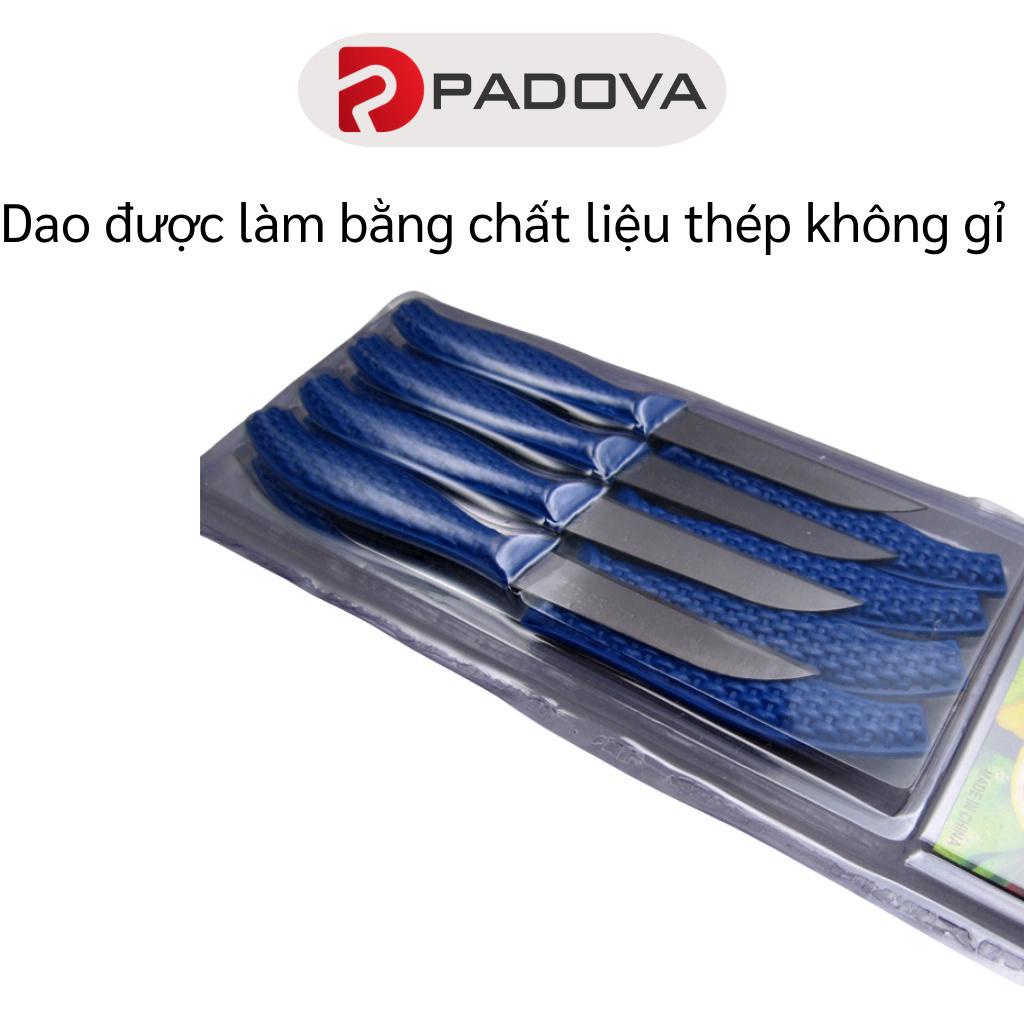 Bộ Vỉ 12 Dao Gọt Hoa Quả, Cắt Trái Cây Mini Sắc Bén Tiện Lợi PADOVA 8236