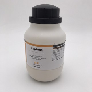 Hóa chất Peptone