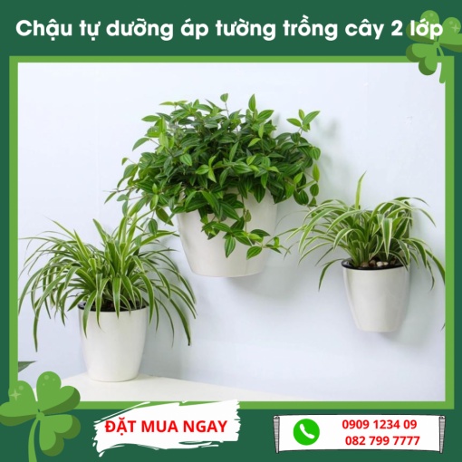 Chậu tự dưỡng áp tường trồng cây 2 lớp (Green City)