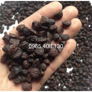 [FREESHIP] Quả Mắc Mật Khô ( Đặc Sản Tây Bắc )
