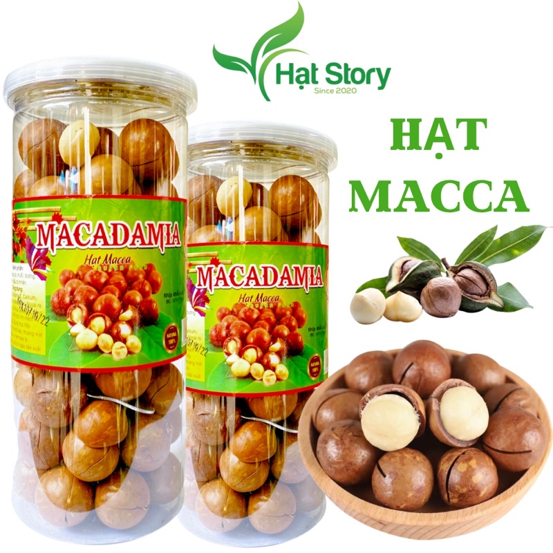500Gr Hạt Macca Sạch ĐăkLăk (sấy lạnh) nhà trồng loại 1 có ATVSTP hạt mắc ca