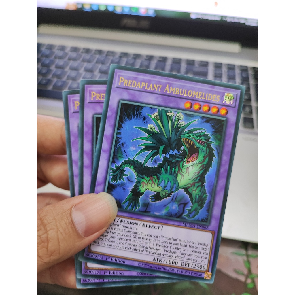 1 lá thẻ bài Predaplant Ambulomelides - MAMA-EN065 - Ultra Rare 1st Edition