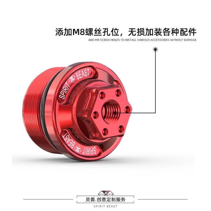 Ốc Trang Trí Phuộc Trước Suzuki GW250 / DL250 / GSX250R Spirit Beast L8