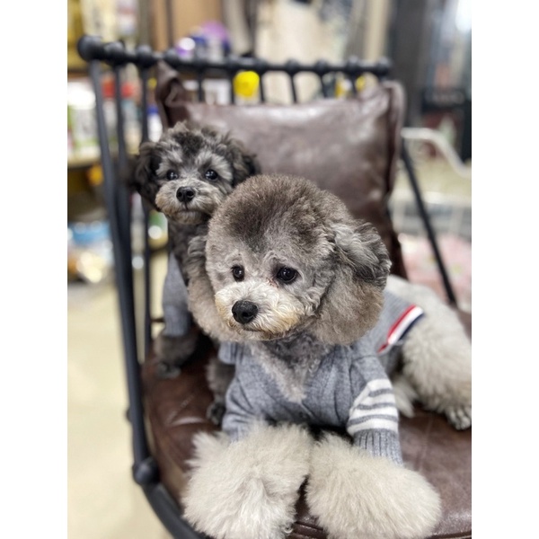 Áo cardigan thombrown cho chó mèo