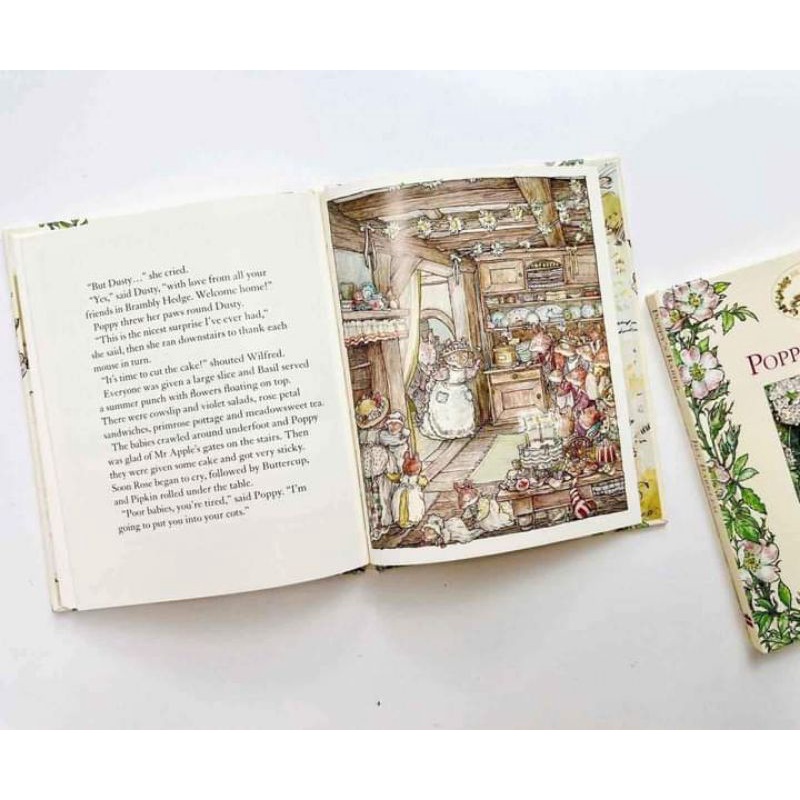 THE BRAMBLY HEDGE LIBRARY COLLECTION 8books