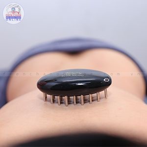 Con bọ Diện Chẩn Bùi Quốc Châu