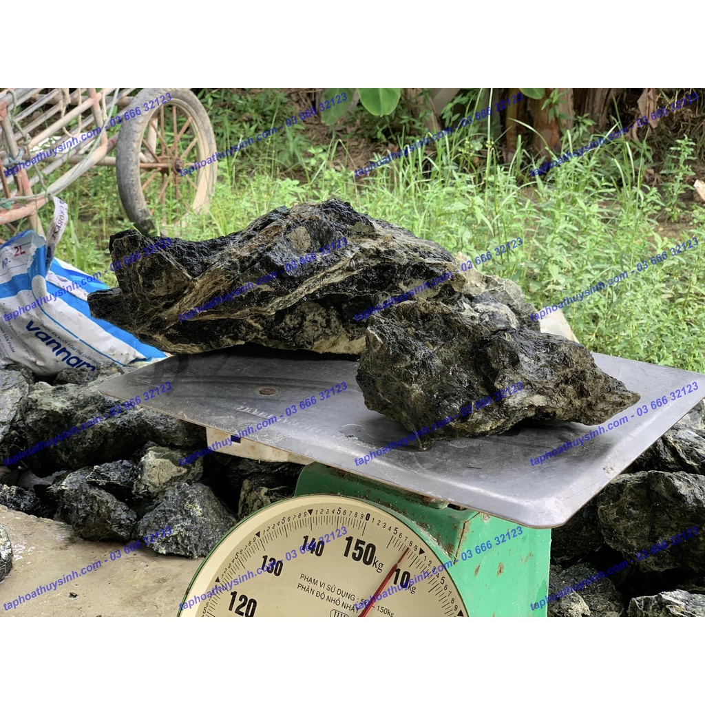 ĐÁ NHAM ĐEN VÂN TRẮNG SIÊU ĐẸP SET BỂ IWAGUMI