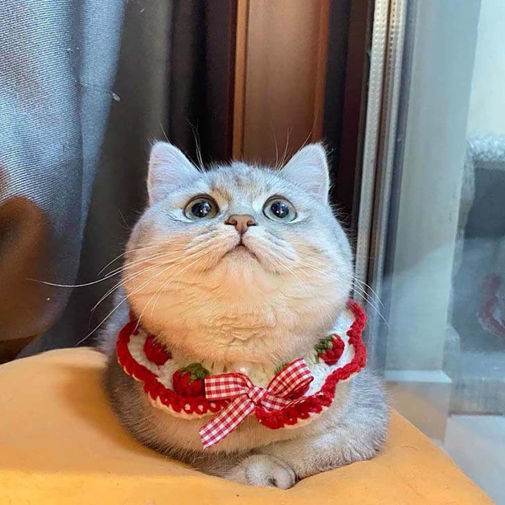 Vòng Cổ Bằng Len Đan Tay Phong Cách NORMAN Cho Thú Cưng