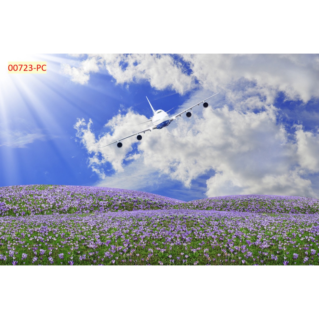 Tranh dán tường 3D hoa Lavender