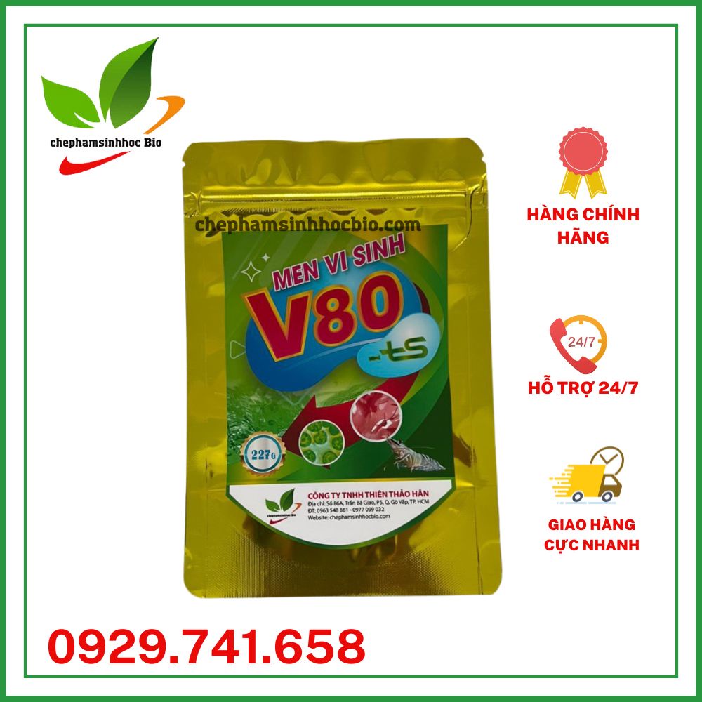 Men vi sinh V80 xử lý đáy ao nuôi tôm. Gói 227gr