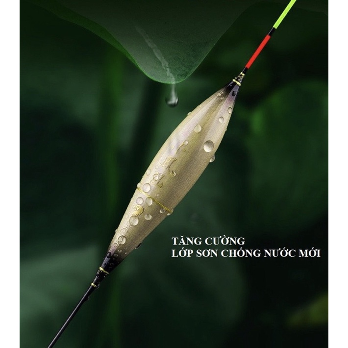 Phao câu cá nước cạn LQS