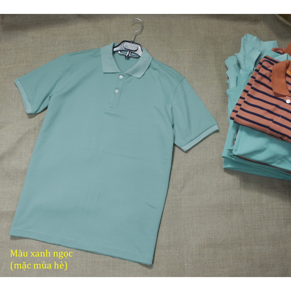 Áo polo cổ bẻ mặc thu đông