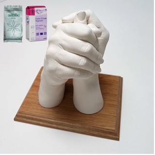 Chất Lấy Dấu Alginate Cavex Dùng Trong Nha Khoa, Thạch Cao Nha Khoa Đổ Mẫu Snow Rock Hàn Quốc - 1kg