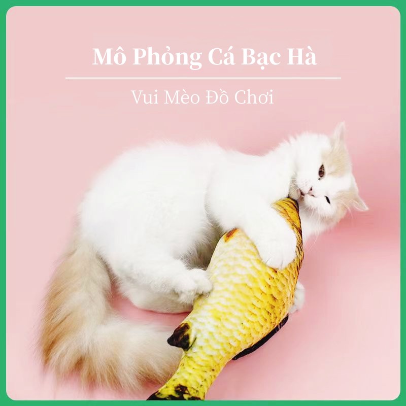 Vật Nuôi Catnip Cá Mô Phỏng Mèo Cung Cấp Mèo Gối Điên Sang Trọng Đồ Chơi LI0156