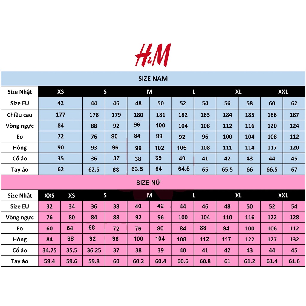 Áo Phông Thun Nữ Bé Gái Lớn Cotton Nỉ Mỏng Co Giãn Thấm Hút Thời Trang Xuân Thu Đông Trangnauth F179