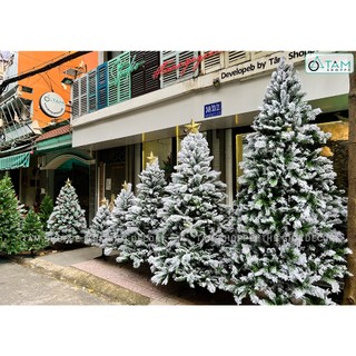 Cây thông Noel phủ tuyết A4 cao từ 120-300cm X-TREE-17-01_TTTM