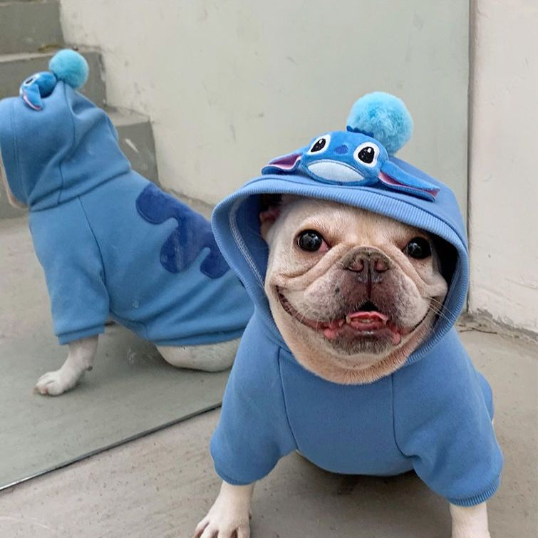 Áo Thu Đông In Hình Stitch Dễ Thương Cho Thú Cưng