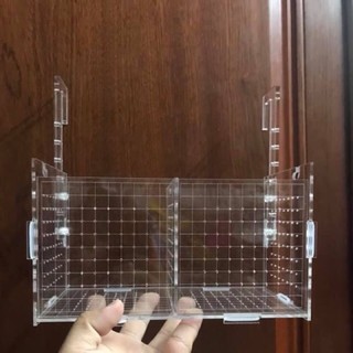 Box đôi dưỡng tép