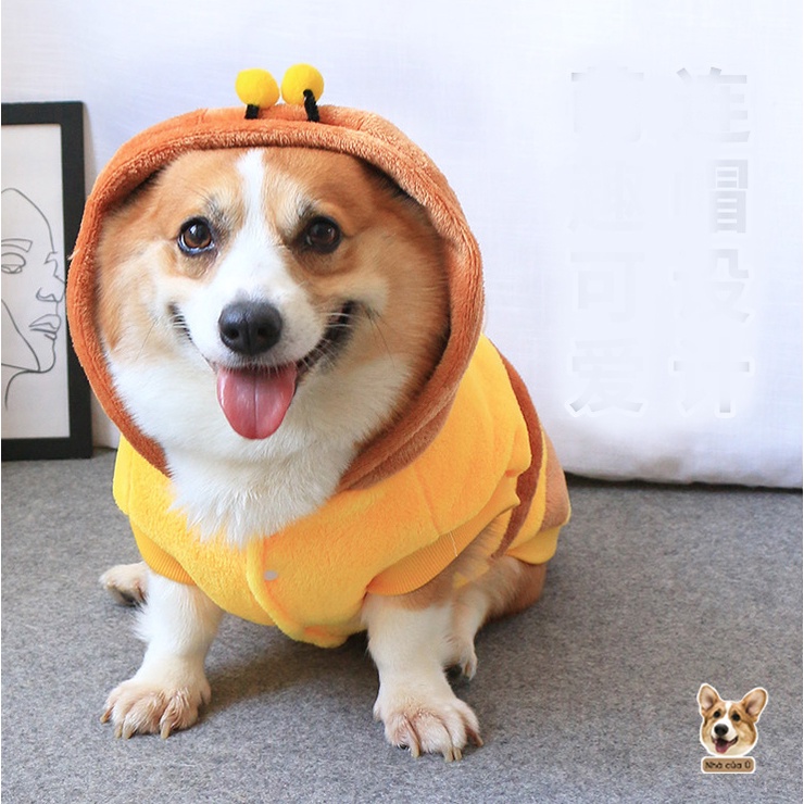 Áo Cho Chó To - Áo Thu Đông Cho Corgi, Samoyed, Golden chất Nhung Bông Hình Con Ong