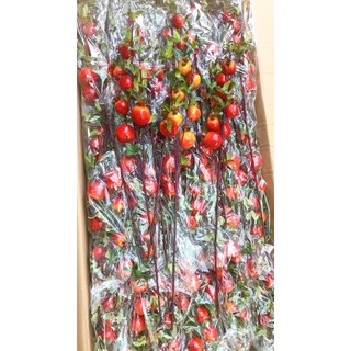 CÀNH LỰU CHƯNG TẾT SIÊU ĐẸP /A8.1610