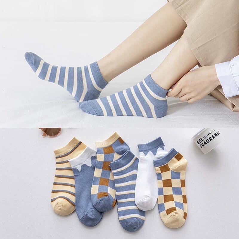 Sét 5 đôi tất Vớ Cotton Cổ Thuyền Kẻ Sọc Màu Sắc Tương Phản Phong Cách Nhật Bản Thời Trang Mùa Xuân Cho Nữ