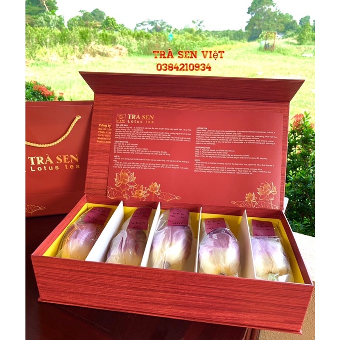 (Hôp + Túi xách đầy đủ) Sét quà tặng 5 bông trà sen Tây Hồ cao cấp sấy thăng hoa hiện đại
