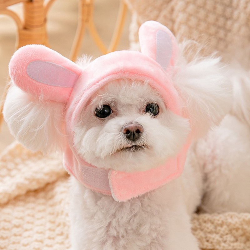 Nón Cho Chó Mèo Cosplay, Mũ Thú Cưng Dễ Thương - iPet Shop