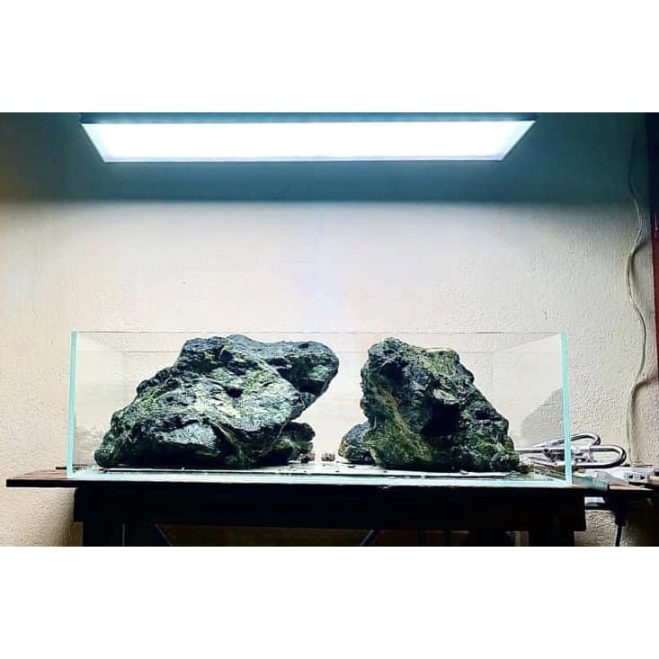 ĐÁ NHAM ĐEN VÂN TRẮNG SIÊU ĐẸP SET BỂ IWAGUMI