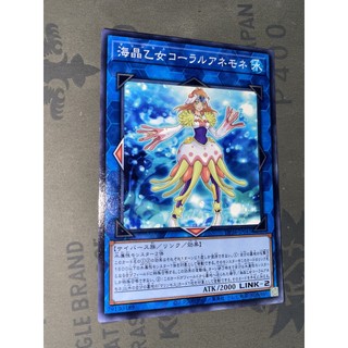 Dp26-jp041 - marincess coral anemone