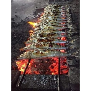 CÁ NỤC NƯỚNG THAN. 1KG